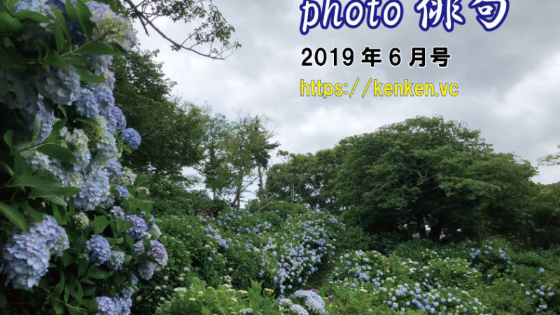 Photo俳句2019年6月号
